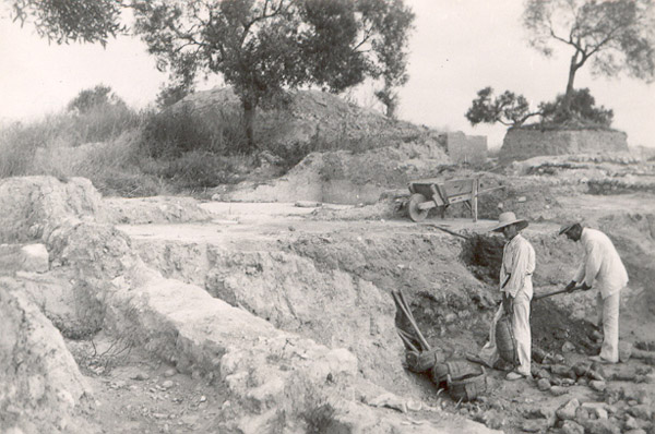 Manuel Esteve en una de las zonas de excavación en Asta Regia.