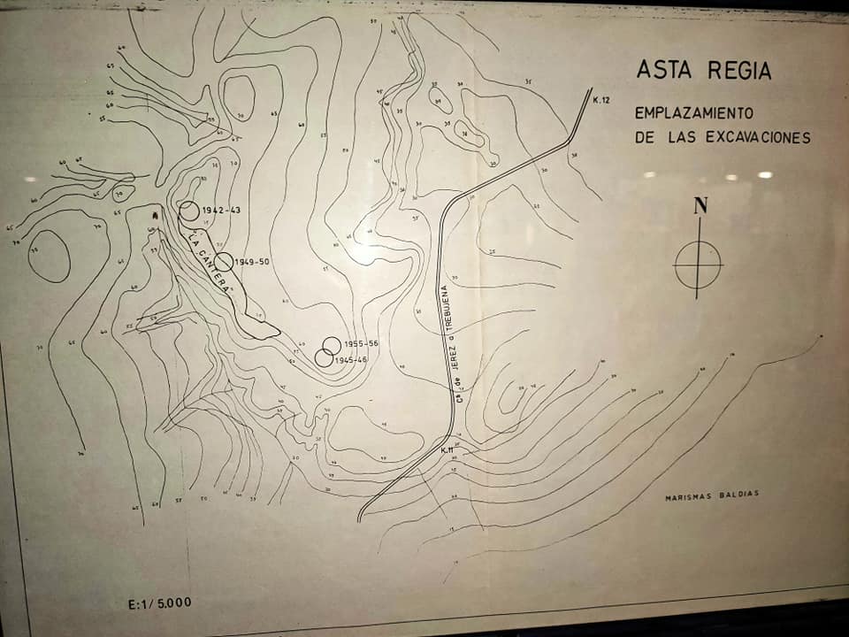 Plano de las excavaciones datadas realizadas en Asta Regia.